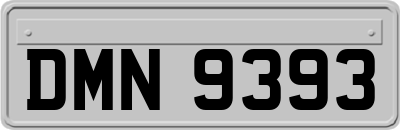 DMN9393