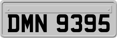 DMN9395