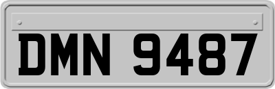 DMN9487