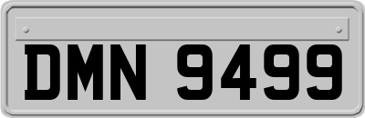 DMN9499