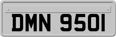 DMN9501