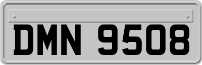 DMN9508