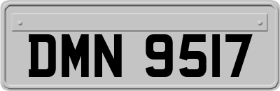 DMN9517