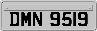 DMN9519