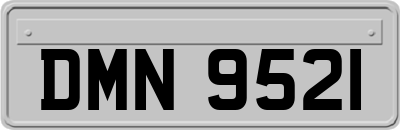 DMN9521
