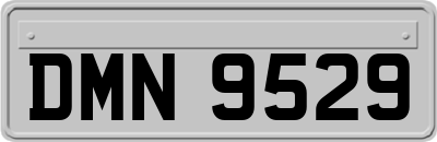 DMN9529