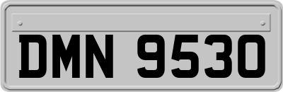 DMN9530