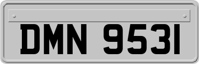 DMN9531