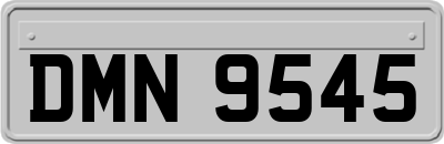 DMN9545