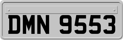 DMN9553