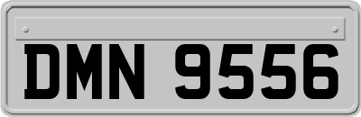 DMN9556