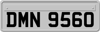 DMN9560