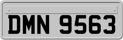 DMN9563