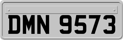 DMN9573