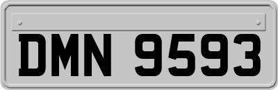 DMN9593
