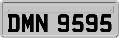 DMN9595