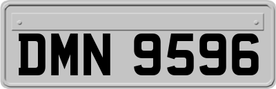 DMN9596