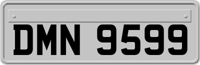 DMN9599