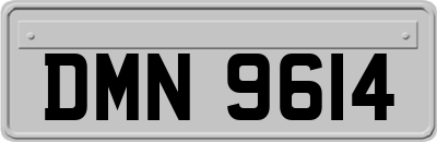 DMN9614