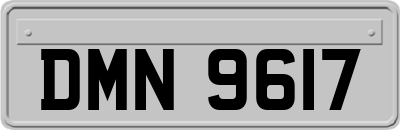 DMN9617