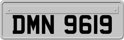 DMN9619