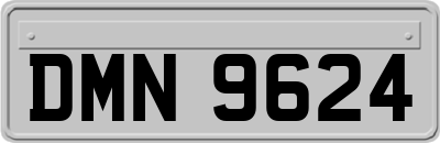 DMN9624