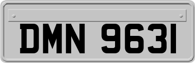 DMN9631