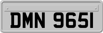 DMN9651