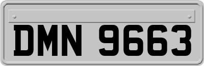 DMN9663