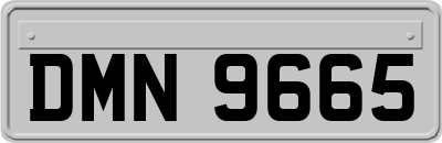 DMN9665