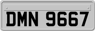DMN9667