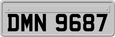 DMN9687