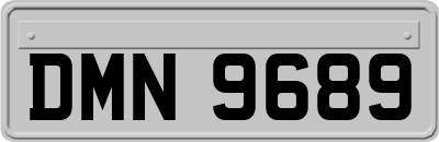 DMN9689
