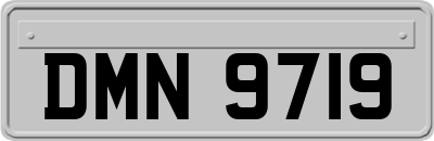 DMN9719