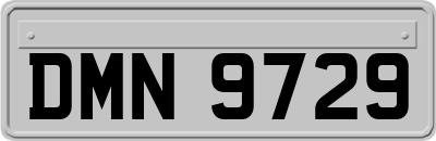 DMN9729