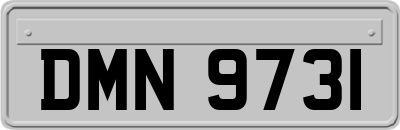 DMN9731
