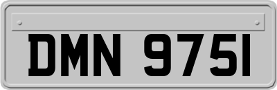 DMN9751