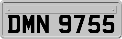DMN9755