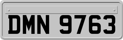 DMN9763