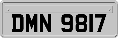 DMN9817