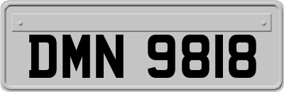 DMN9818