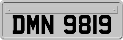 DMN9819