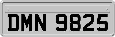 DMN9825