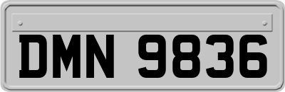 DMN9836