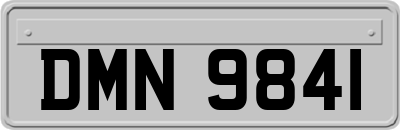 DMN9841