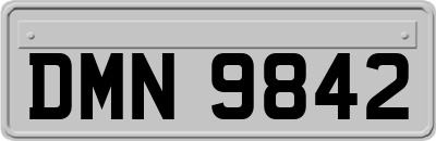 DMN9842