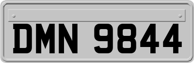 DMN9844