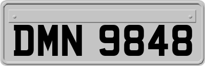 DMN9848