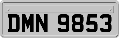 DMN9853