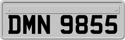 DMN9855